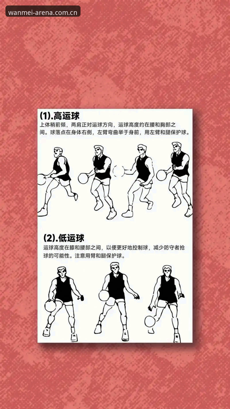 完美体育平台功能完整指南：新手必看的操作攻略与使用技巧